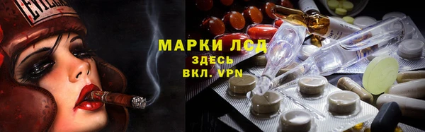 сатива Михайловск