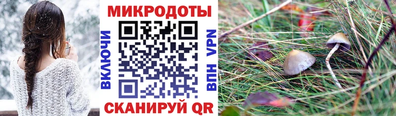 мега сайт  Новосибирск  площадка какой сайт  хочу   Псилоцибиновые грибы Magic Shrooms 