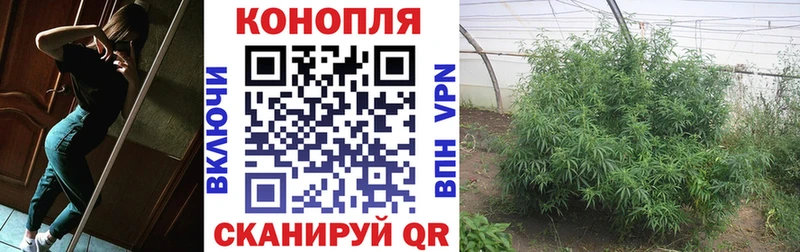 Марихуана Amnesia  где купить наркоту  Новосибирск 