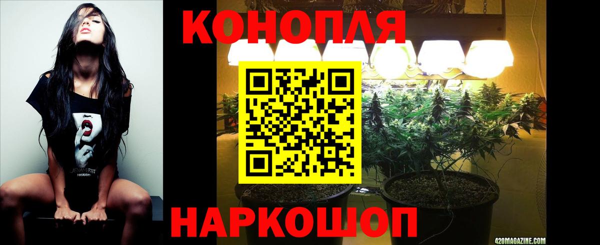 Бошки марихуана THC 21% Новосибирск